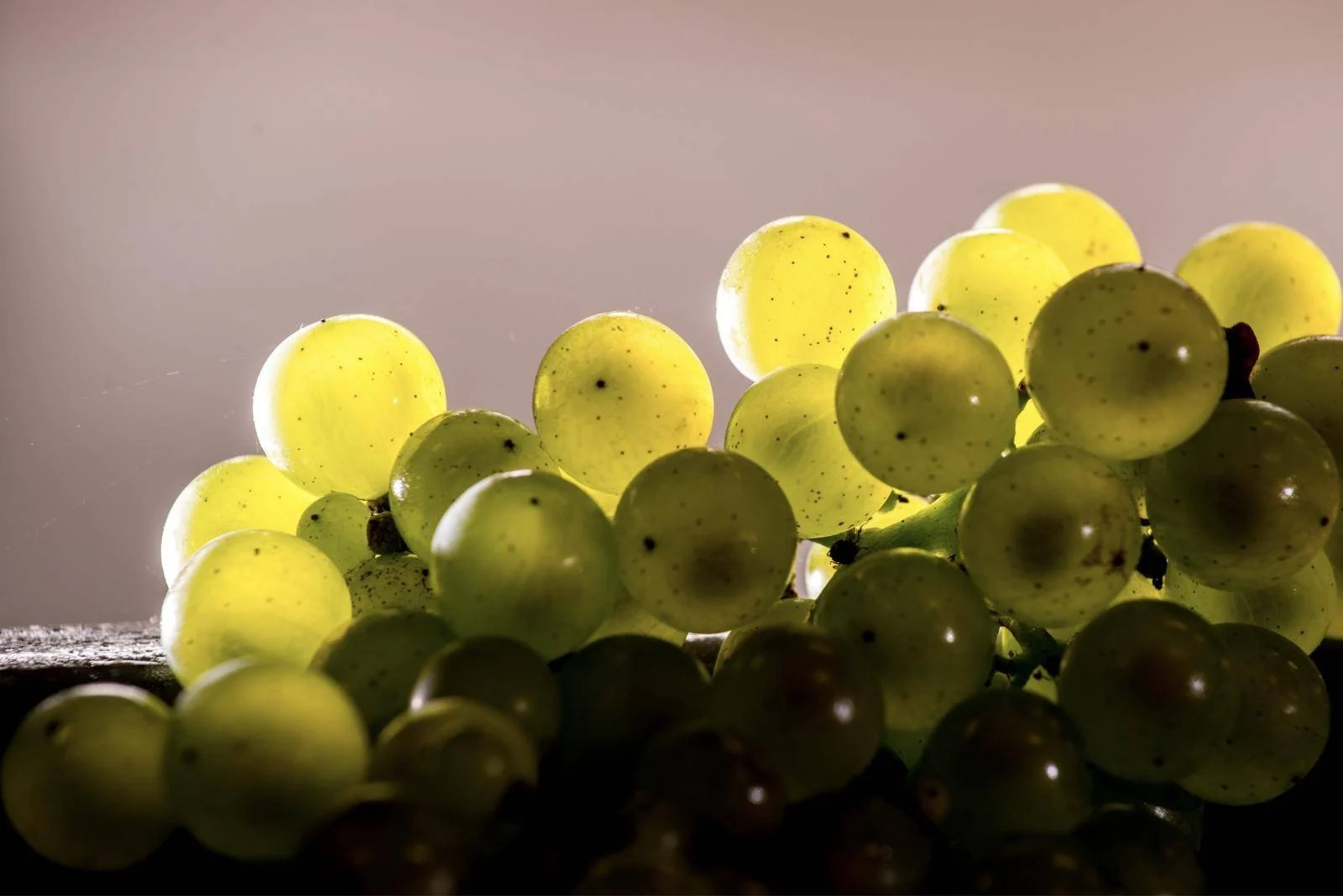 Le chardonnay de Chouilly